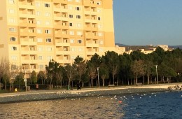 İster Kullanımlık İsterseniz Yatırımlık Armutlu Tatil Köyü 98m2 26 Şubat 12 Mart Dönemi