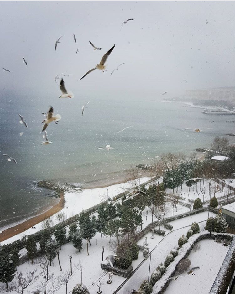 Sahibinden Armutlu Tatil Köyünde 20 Aralık 03 Ocak DönemiArmutlu Tatil ...