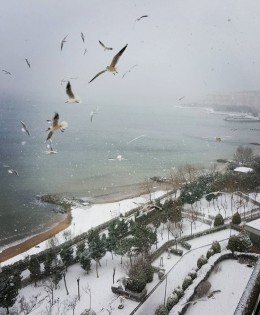 Sahibinden Armutlu Tatil Köyünde 20 Aralık 03 Ocak Dönemi