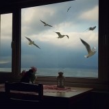 Sömestr Keyfi Başlasın!  01 Şubat 04 Şubat Armutlu Tatil Köyü’nde 1. Blok 70 m2 Daire 1+1 Denize Sıfır Huzur ve Eğlence Dolu Bir Tatil İçin Sizi Bekliyor!