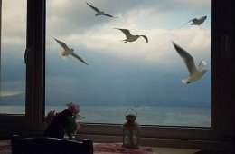 Sömestr Keyfi Başlasın!  01 Şubat 04 Şubat Armutlu Tatil Köyü’nde 1. Blok 70 m2 Daire 1+1 Denize Sıfır Huzur ve Eğlence Dolu Bir Tatil İçin Sizi Bekliyor!