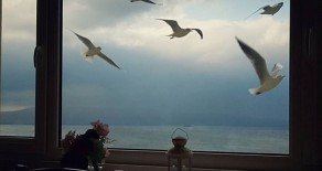 Sömestr Keyfi Başlasın!  01 Şubat 04 Şubat Armutlu Tatil Köyü’nde 1. Blok 70 m2 Daire 1+1 Denize Sıfır Huzur ve Eğlence Dolu Bir Tatil İçin Sizi Bekliyor!