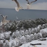 KİRALIK Armutlu Tatil Köyünde  18 Mart 22 Mart