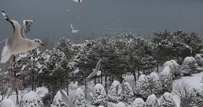 KİRALIK Armutlu Tatil Köyünde  18 Mart 22 Mart