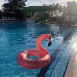 Sonbaharın Gelişiyle Birlikte Harekete Geçme ve Keşfetme İhtiyacı Ekim’ de Bir Başka…. Armutlu Tatil Köyünde 01 Ekim 15 Ekim Dönemi