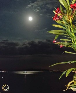 KİRALIK Armutlu Tatil Köyünde 14 Haziran – 28 Haziran Dönemi 4. Blok 2+1  98 M2 Balkonlu Denize Sıfır Daire