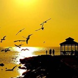 Armutlu Tatil Köyünde 22 Aralık 05 Ocak