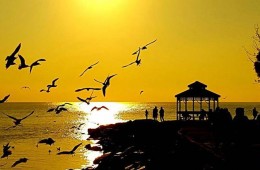 Armutlu Tatil Köyünde 22 Aralık 05 Ocak