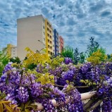 Armutlu Tatil Köyünde Satılık 08 Haziran – 22 Haziran Dönemi 98 M2