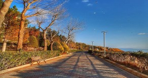 ✅ Şimdi Tatilini Erteleme ! Kap Bavulunu Gel Armutlu Tatil Köyüne Satılık  17 Ekim 31 Ekim Tarihi Tam Senlik✅ 