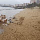 Armutlu Tatil Köyünde 3. Blokta 98 m2 2+1  Satılık Denize Sıfır 3 Ekim – 17 Ekim Dönemi